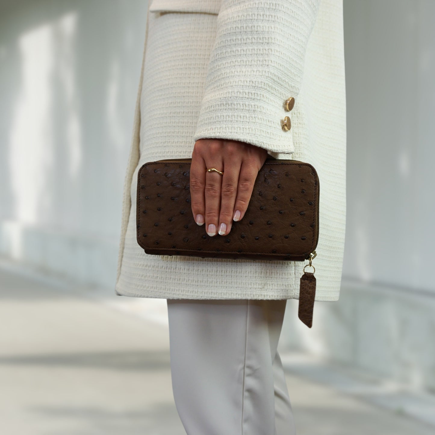 Large ladies wallet in brown, large & elegant